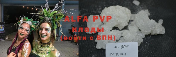 индика Абинск