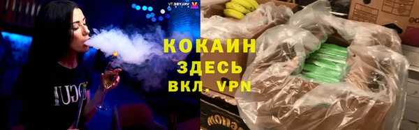 индика Абинск