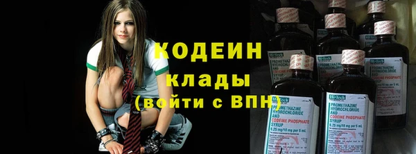 шишки Абаза