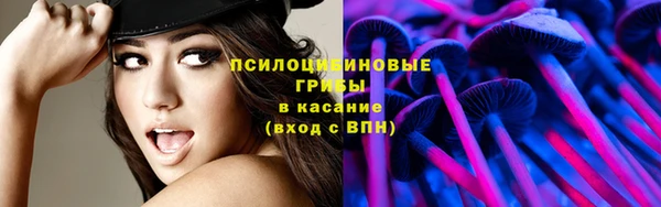 шишки Абаза