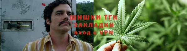 индика Абинск