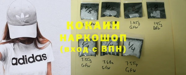 индика Абинск