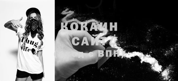 шишки Абаза