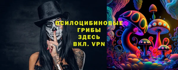 индика Абинск