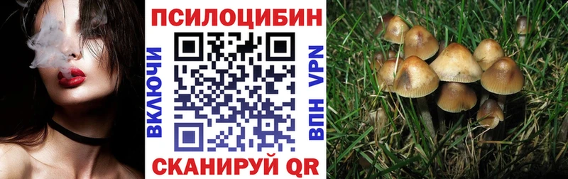 наркотики Кудымкар hydra зеркало Псилоцибиновые грибы мухоморы