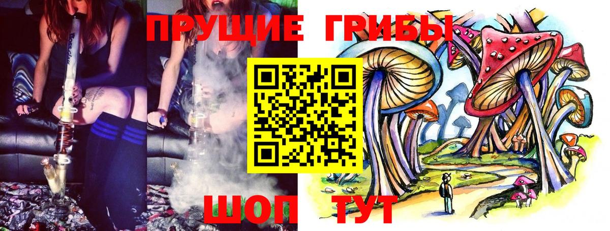 Псилоцибиновые грибы мицелий Кудымкар