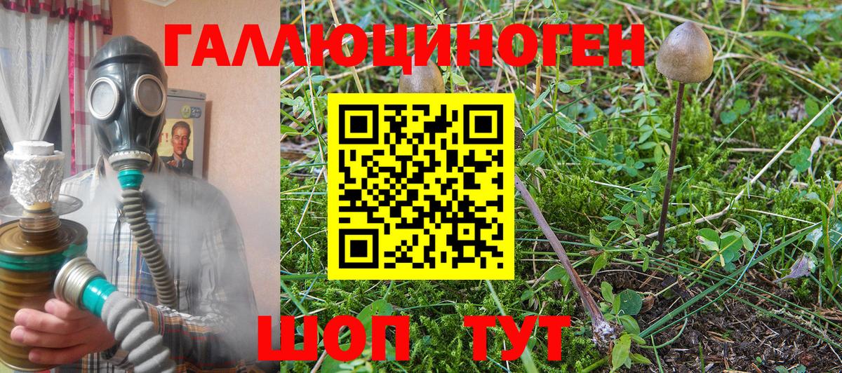 Галлюциногенные грибы мицелий  Вход с VPN  Кудымкар 