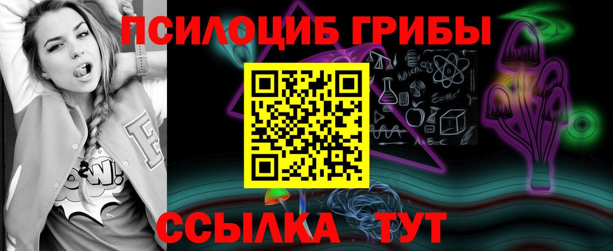 Галлюциногенные грибы Psilocybine cubensis Кудымкар