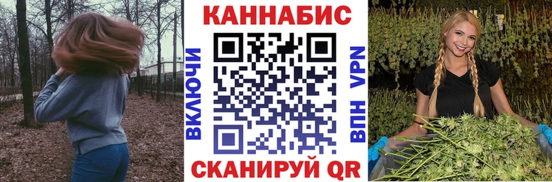 купить  цена  Кудымкар  Бошки марихуана сатива 